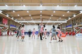 文班&哈珀 互吹一下